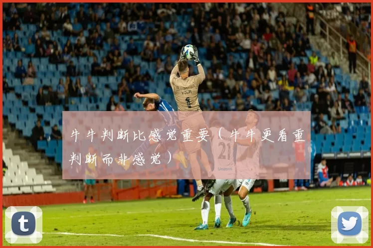 牛牛判断比感觉重要（牛牛更看重判断而非感觉）