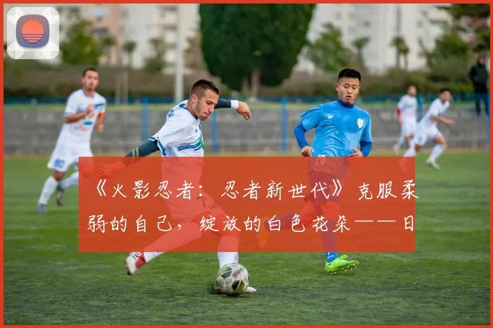 《火影忍者：忍者新世代》克服柔弱的自己，绽放的白色花朵——日向雏田生日快乐！