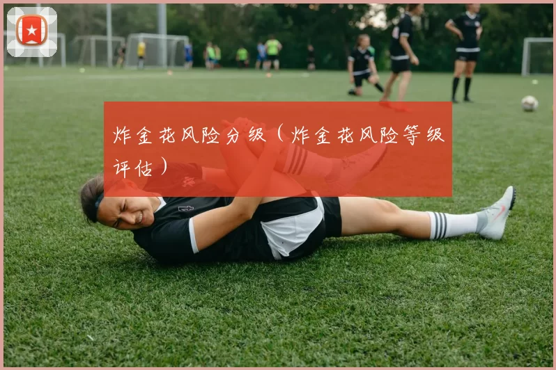 炸金花风险分级（炸金花风险等级评估）