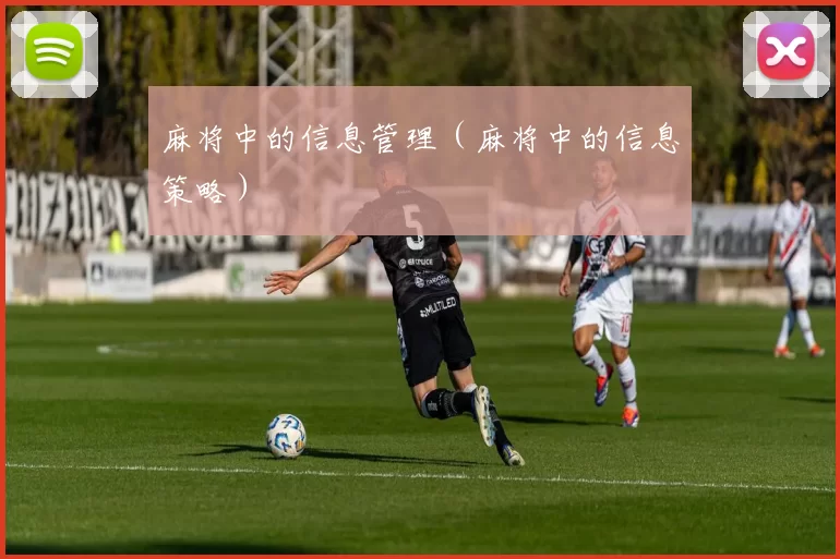 麻将中的信息管理（麻将中的信息策略）