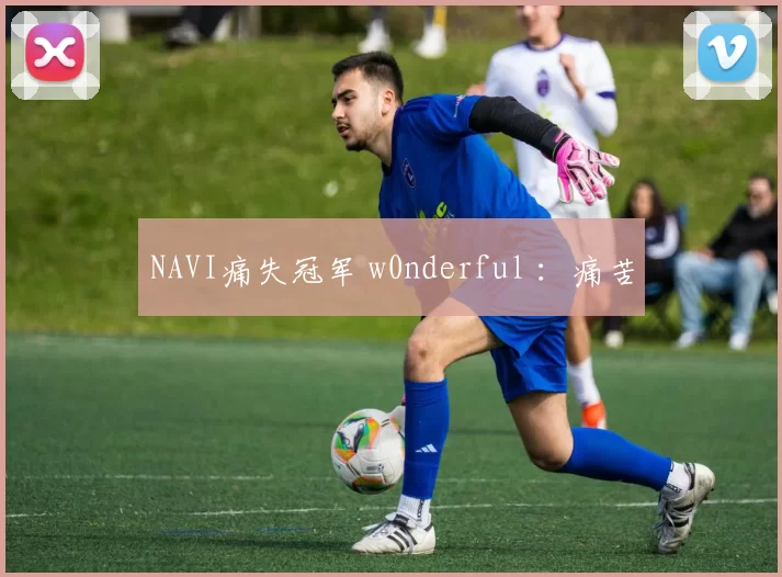 NAVI痛失冠军 w0nderful ：痛苦