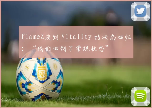 flameZ谈到 Vitality 的状态回归：“我们回到了常规状态”