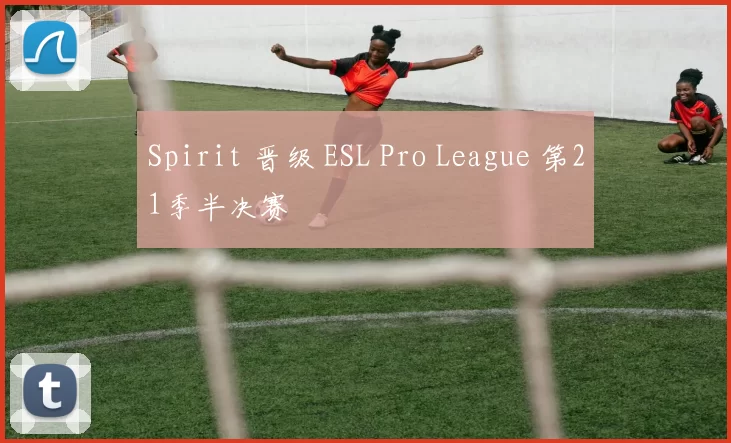 Spirit 晋级 ESL Pro League 第21季半决赛