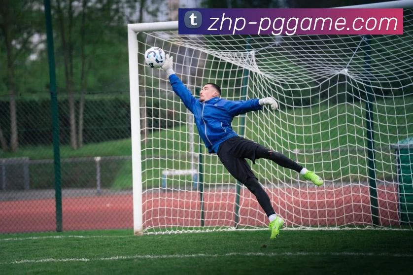 PG模拟器平台生态图